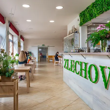 Zlechov מלון *