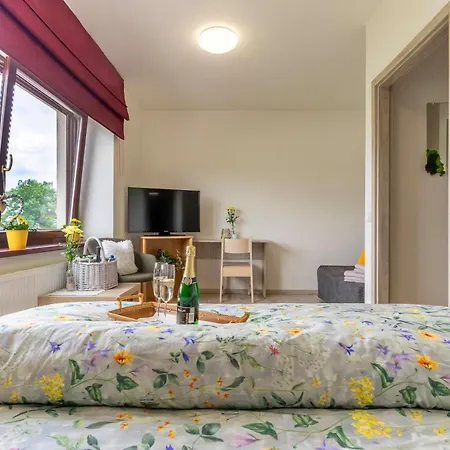 Otel Zlechov *
