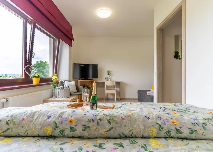 Hotel Zlechov *